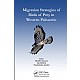 Migration Strategies of Birds of Prey in Western Palearctic