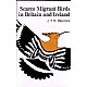 Scarce Migrant Birds in Britain and Ireland