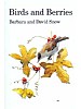 Birds and Berries