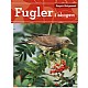 Fugler i skogen