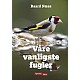 Vre vanligste fugler
