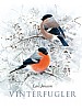 Vinterfugler