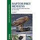 Raptor Prey Remains