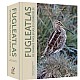 Fugleatlas