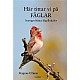 Hr tittar vi p fglar