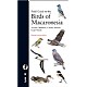 Field Guide to the Birds of Macaronesia