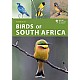 Birds of South Africa