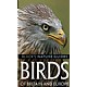 Birds of Britain and Europe