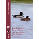 Rare Birds of the Canary Islands