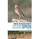 Where to Watch Birds in Northern & Eastern Spain