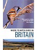 Where to Watch Birds in Britain