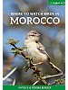 Where to Watch Birds in Morocco