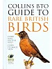 Collins BTO Guide to Rare British Birds