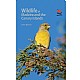 Wildlife of Madeira and the Canary Islands