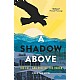 A Shadow Above