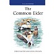 The Common Eider