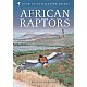 African Raptors
