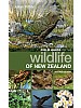 Field Guide to the Wildlife of New Zealand