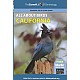 All About Birds California