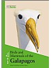 Birds and Mammals of the Galapagos