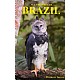 All the Birds of Brazil