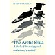 The Arctic Skua