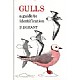 Gulls