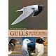Gulls of the World: A Photographic Guide