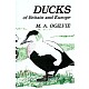 Ducks of Britain and Europe
