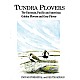 Tundra Plovers