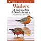 Waders of Europe, Asia and North America