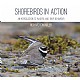 Shorebirds in Action