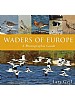 Waders of Europe