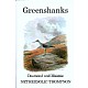 Greenshanks