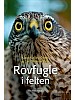 Rovfugle i felten