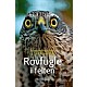 Rovfugle i felten