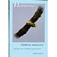Havrna - kystens majestet