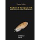 Feathers of European owls