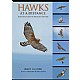 Hawks at a Distance