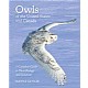 Owls of the United States and Canada