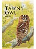 The Tawny Owl