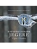 Nattens lydlse jegere