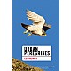 Urban Peregrines