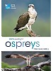 RSPB Spotlight: Ospreys