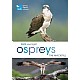 RSPB Spotlight: Ospreys