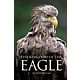 The Kingdom of the Eagle