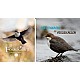 Fossekallen - Norges nasjonalfugl & Linn Therese og fossekallen