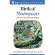 Field Guide to the Birds of Madagascar