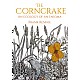 The Corncrake