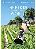 Shrikes of the World
